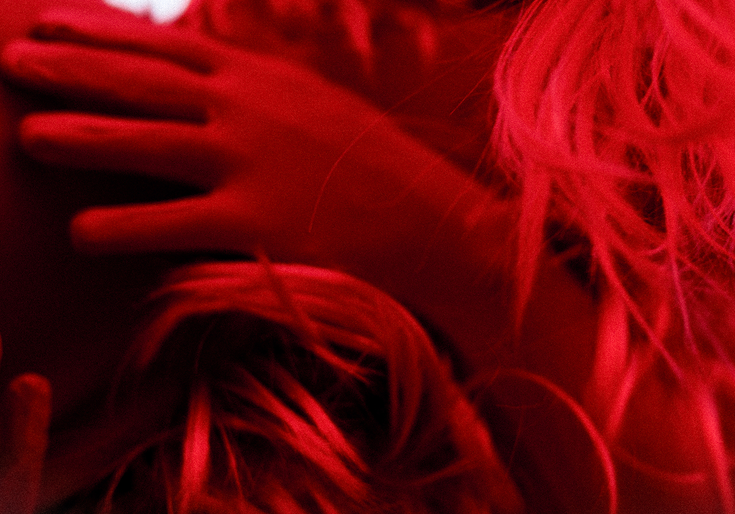 Free_Colorful - Thais Vandanezi8.jpg