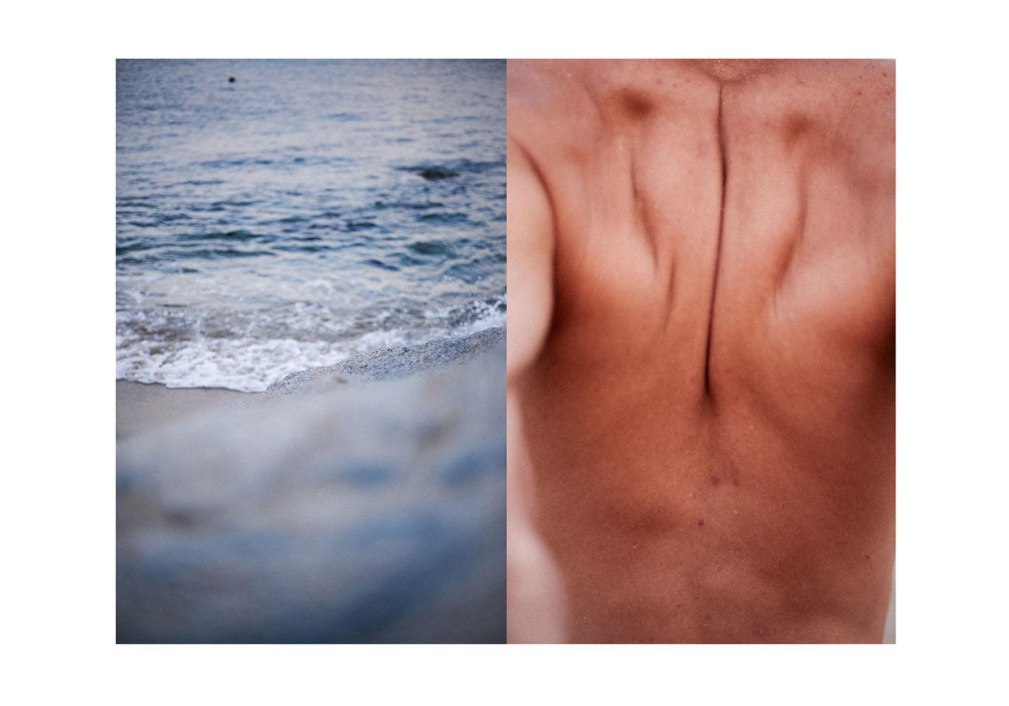 Free_Colorful - Thais Vandanezi2.jpg